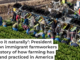 Farmworkers harvest celery on March 9, 2024, in Yuma, Ariz. John Moore/Getty Images